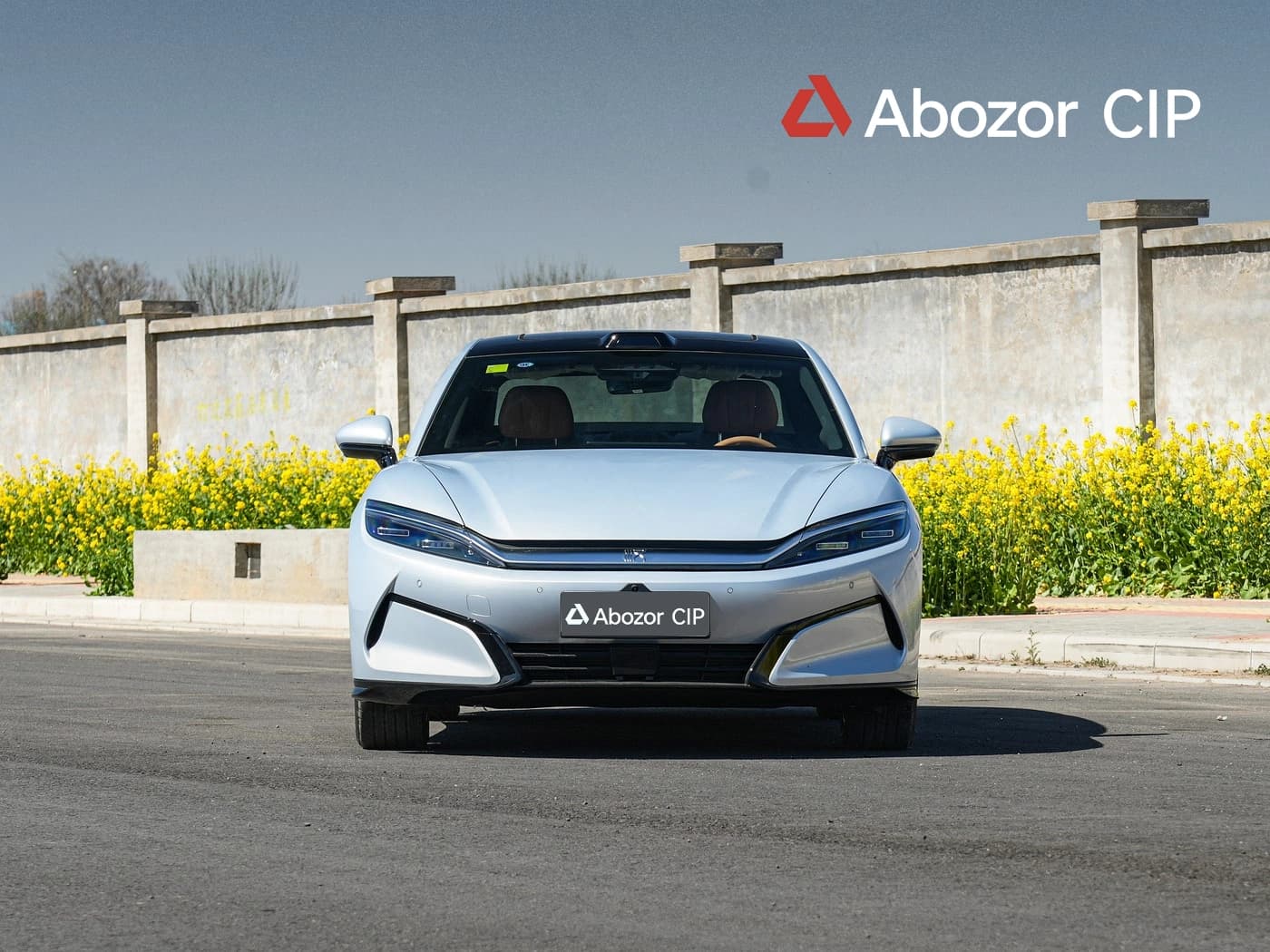 BYD Han L, 2025, Toshkent shahri – 1