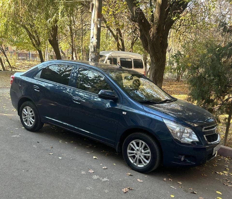 Cobalt atrofidagi shov-shuvlar: asl haqiqat va joriy vaziyat