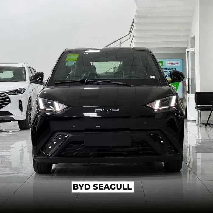 BYD Seagull, 2025, Samarqand – 1