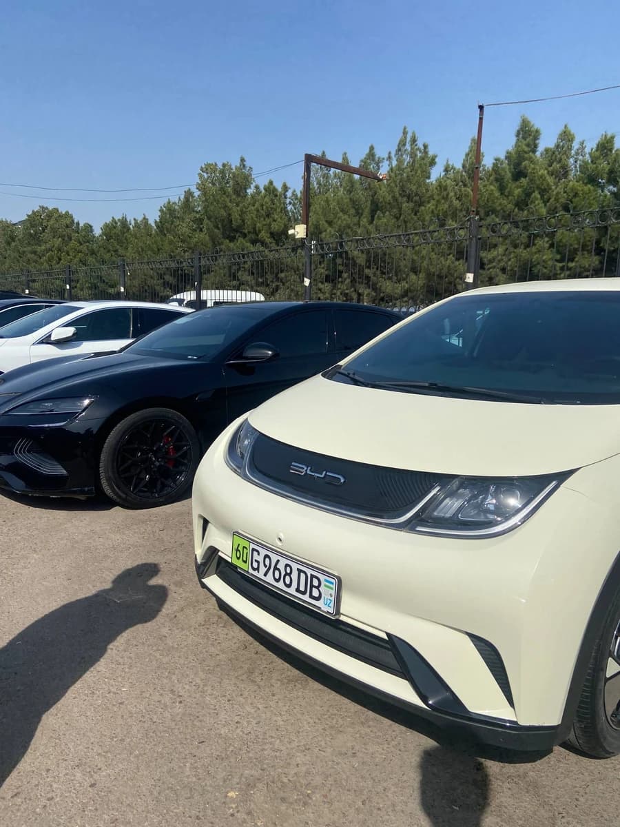 BYD Dolphin, 2023, Toshkent shahri – 1