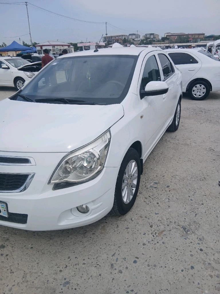 Chevrolet Cobalt, 2014, Самаркандская область – 1