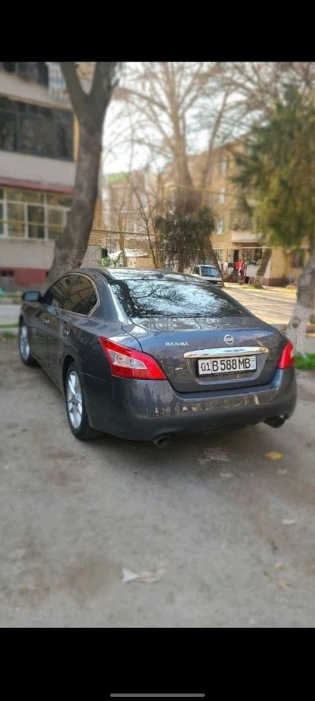 Nissan Maxima, 2008, Ташкент (город) – 1