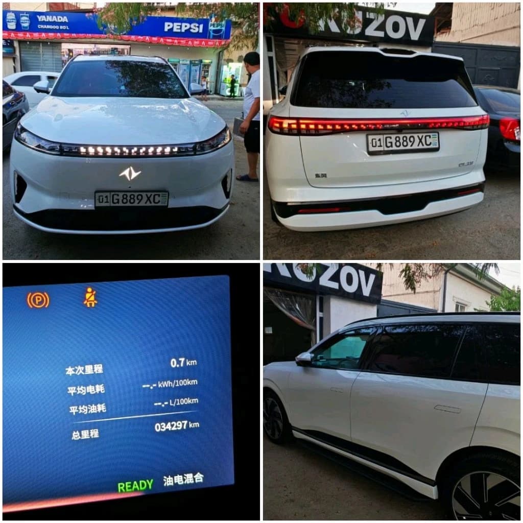 Dongfeng EP 008, 2024, Toshkent shahri – 1