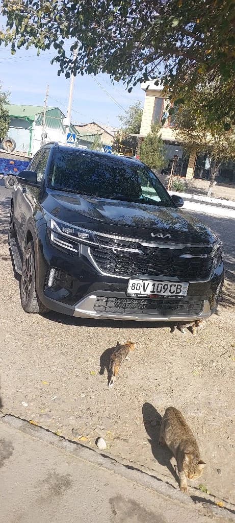 Kia Seltos, 2024, Buxoro – 1