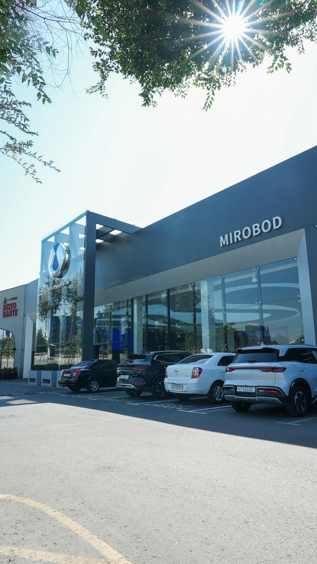 Denza Mirobod main image