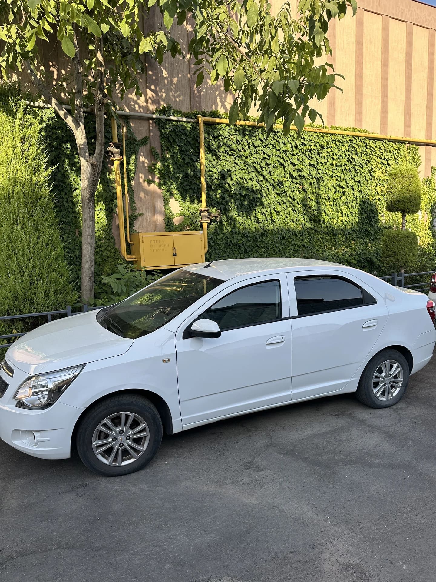 Chevrolet Cobalt, 2022, Toshkent shahri – 1