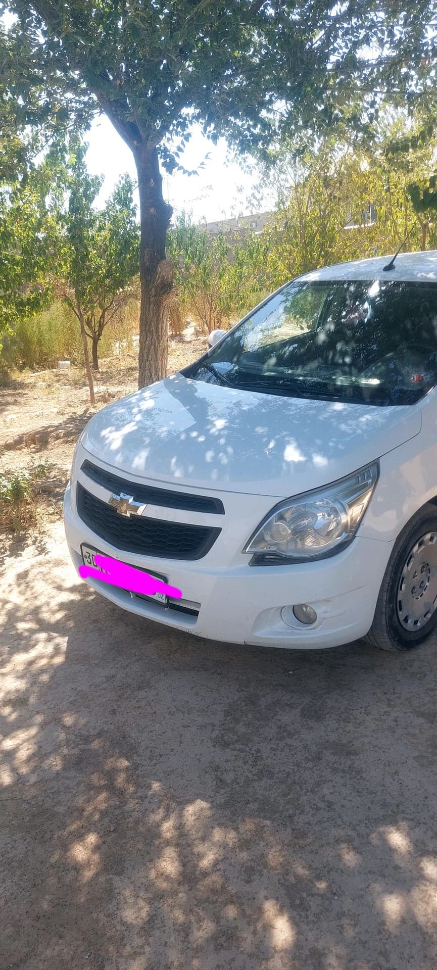 Chevrolet Cobalt, 2017, Самаркандская область – 1