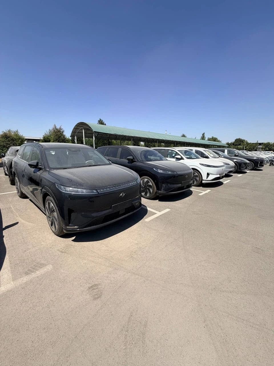 Dongfeng EP 008, 2024, Toshkent – 1