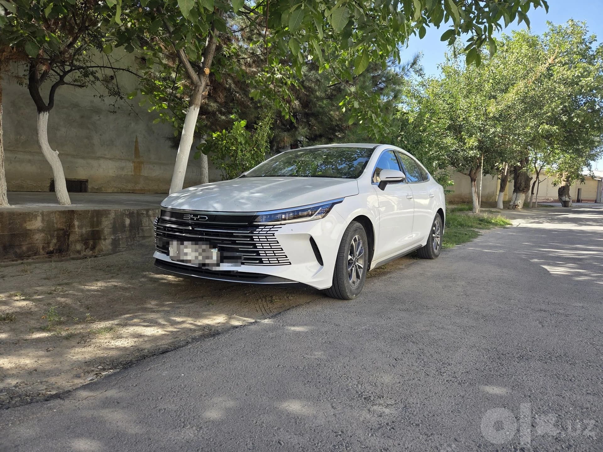 BYD Chazor, 2024, Samarqand – 1