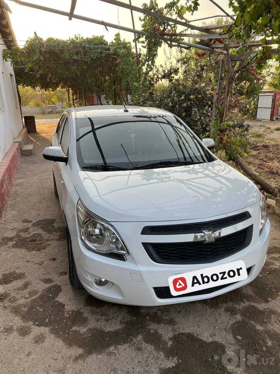 Chevrolet Cobalt, 2019, Surxondaryo – 1