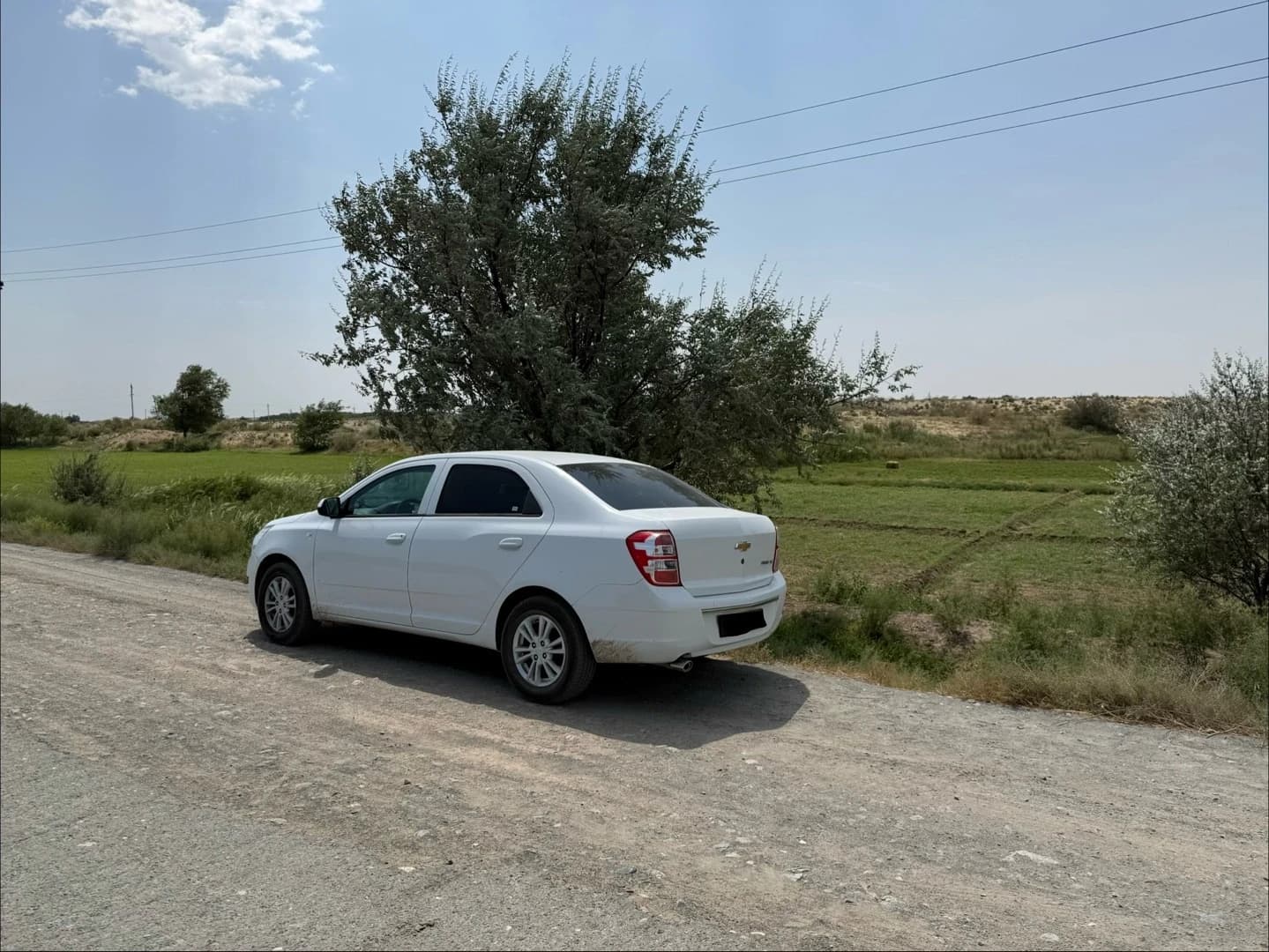 Chevrolet Cobalt, 2025, Xorazm – 1